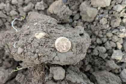 A British metal detectorist uncovered a rare Iron Age gold coin hoard in a Suffolk field, with the remarkable treasure later selling at auction for an impressive £33,200.